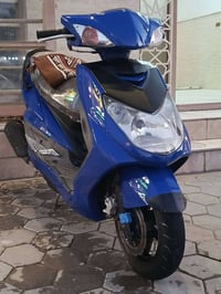 سكنس فحل • زنون • معدل