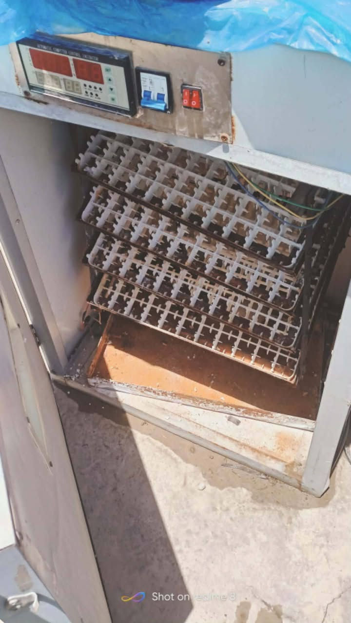 مبرده شغال ماطور جديد ب 120
فقاسه عدد اثنان ب 450 
راسلني خاص للتفاصيل


**إذا كنت صاحب هذا الإعلان وتريد حذفه لأي سبب، رجاءا أرسل رسالة إلى الدعم الفني**