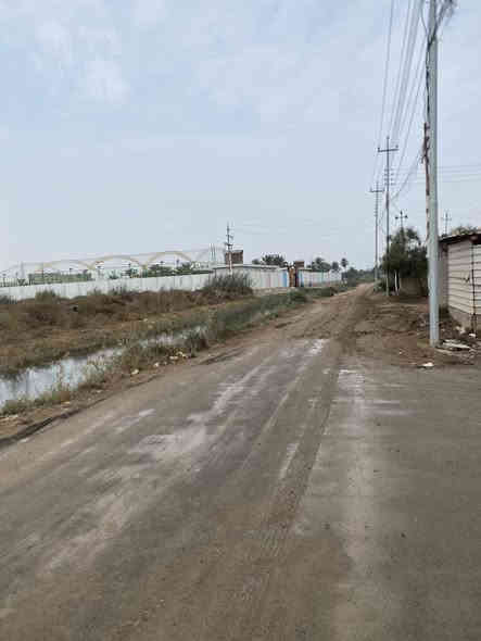 عرض جديد على بركة الله تم افتتحاح ارض طابو زراعي صرف باسمي مباشر
خلف مجمع الرواد 

تتوفر جميع الخدمات ماء كهرباء تبليط 

مجاري 

تطل الارض على شارعين شارع ابو الزوري وشارع الامام زين العابدين 

1- سعر 100 متر 25

2-سعر 150 متر 35

3-سعر 200متر 45 

كفاله عامه بالاصوليات 

وقريبه على كورنيش 300متر رقم تلفون *********** يستعمل وتساب
