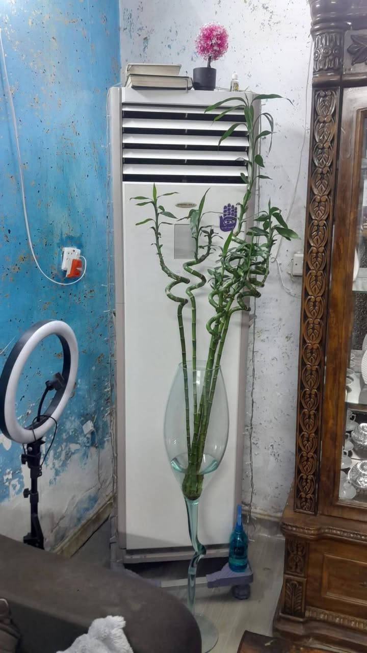 تحيه طيبه سبلت جنرال طنين ونص كنتوري
مابي اي نقص شرط لفحص ب 400 وبي مجال
مجمده ب 250 جديده وبيها مجال بسيط

***********
