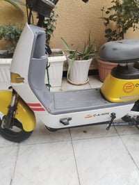 باسكل شحن • حالة جيدة • تمشي ١٥كم