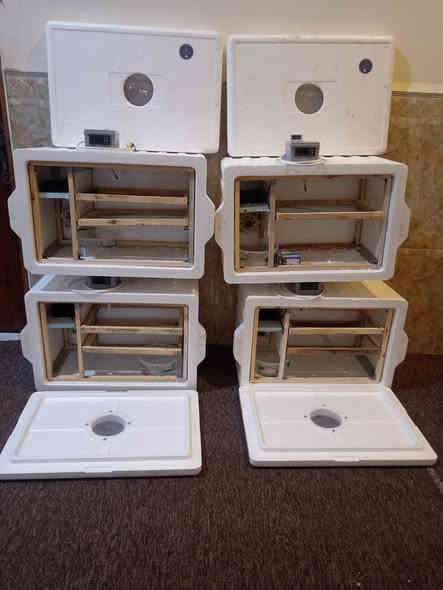 متاح
يوجد فقاسات من كفر فلين حجمين 150بيضه ب86الف و100بيضه ب76الف تقليب يدوي والرطوبه طبيعيه البصرة قضاءالمدينة لتواصل*********** توصيل جميع المحافظات العراق.
