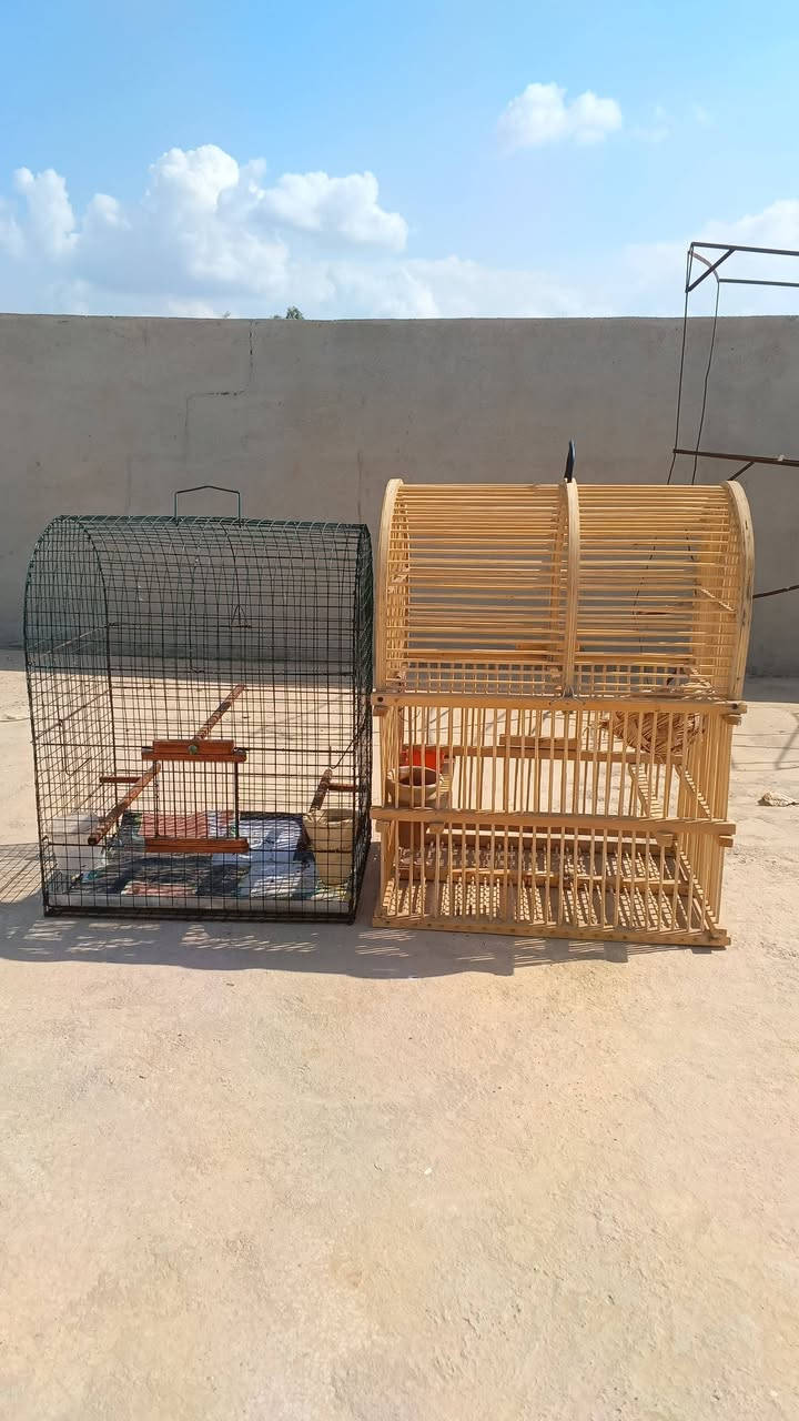 للبيع قفصين مال بلابل تمر مستخدمات شي قليل بعدهن جدد السعر 35 وبيها مجال شي قليل


**إذا كنت صاحب هذا الإعلان وتريد حذفه لأي سبب، رجاءا أرسل رسالة إلى الدعم الفني**