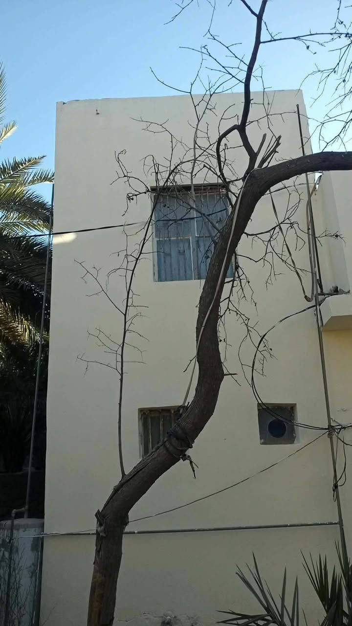 بيت للبيع زراعي بعقوبه باب الدرب المساحه ١٦٠ بي غرفه هول مطبخ صاله صحيات داخليه او بي تواليت خارجي كراج حديقه السعر ٣٠ بي مجال الاتصال***********غير متواجد علفيس الي ماعده رصيد بس يرمش اني اتصل بي
