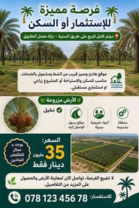 دونم كامل • طريق السنية • نخيل تين رمان
