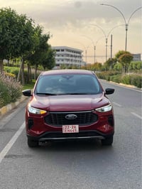 فورد اسكيب • ٢٠٢٥ • ماروني