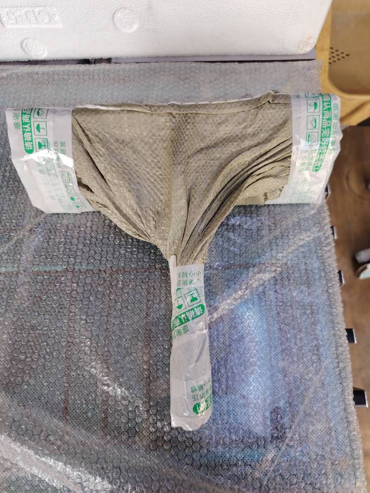 معرض السماح كراده شارع المسبح *********** وتساب بغداد, العراق
