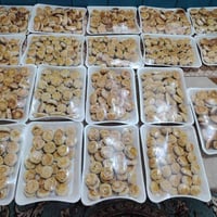 الحمد لله حمداً كثيراً طيباً مباركاً فيه جزء من تجهيز طلبات  اكليجه شه...