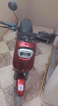 دراجة شحن • 5 بطاريات ToYo R8 • مدى 45كم