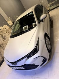 كورلا خليجي • ٢٠٢٣ • أربيل