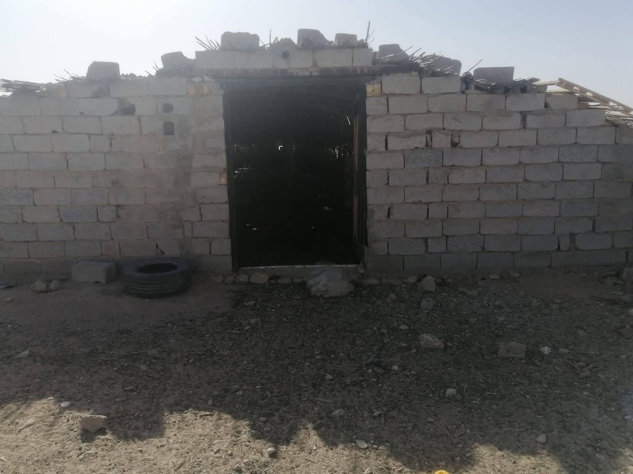 ارض زراعيه للبيع بيها عقدين
مساحتها 300 دونم ارض عدله مابيها ضهره .
موقعها باديه السماوه طريق السلمان قرب سيطره ال بطاح.

تباع معه معداتها البيها 

دفاعه 50 حصان.
بوري ماي حجم 5 انج العدد 82 بوري.

حوض ماء 26 ×26متر مربع وعمقه متر وربع.

بيت متكامل غرفه ومطبخ وبراني.

محوله خاصه للمزرعه250كيفي

حقل دواجن.

نخل العدد 45نخله انواع.

اربع ابار.

للستفسار: ***********

