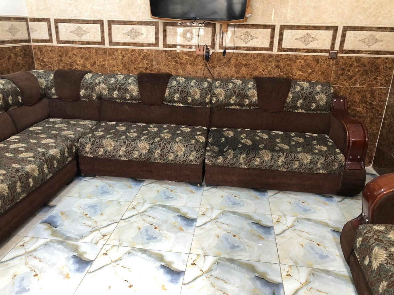 تخم للبيع ب150 ***********
