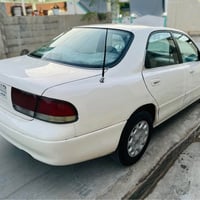 فاصوليا • ١٩٩٣ • سنويه لحد ٢٠٢٨