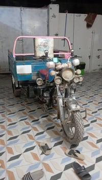 ستوته صقر • موديل 2019 • أوراق أصولي