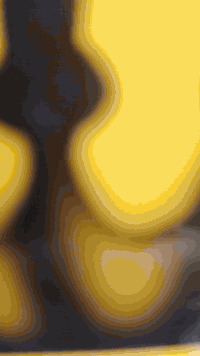 دراجه نامه اصولي سبع أوراق
السعر مليون وميه وبيها مجال
للتواصل الخاص و واتساب ***********
