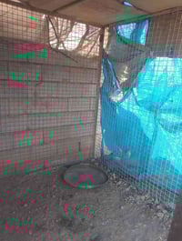 قفص لبيع والتصال على رقم 07706693512