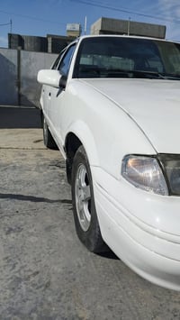 برنس فراشه • ١٩٩٦ • قضاء الكرمه