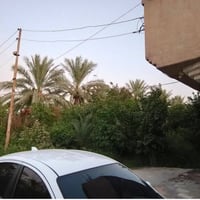 ٥ دوانم • بيت ٣٠٠م مرمم • بابل طريق كربلاء