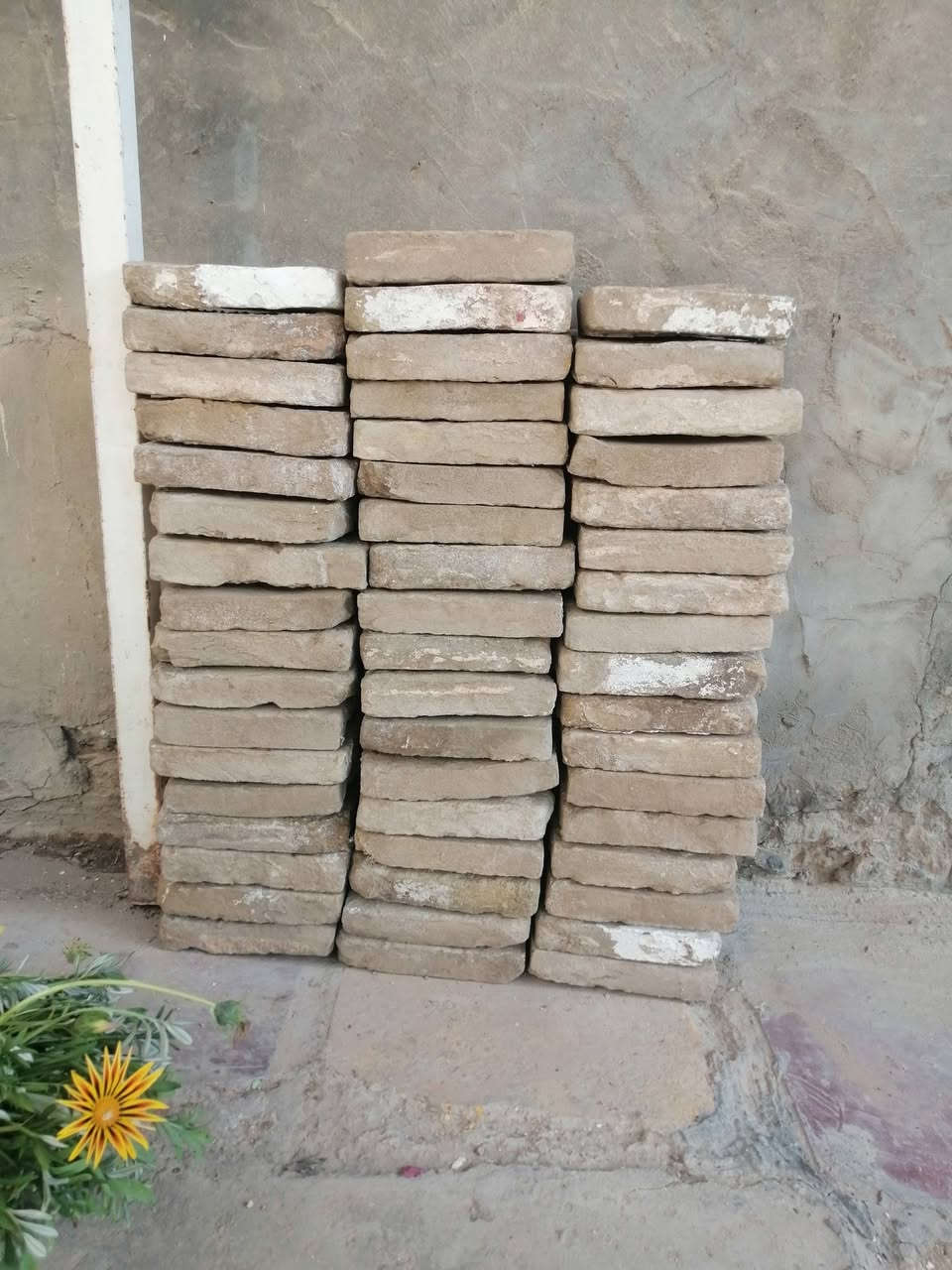 طابوق مستخدم عدل ونصاص عدد 400 مكان بابل البكرلي
***********
