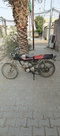 تايجر • ٢٠٢١ • اوراق باسمي