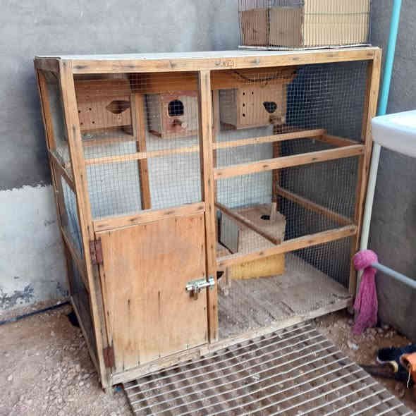 السلام عليكم قفص للبيع رائدة 35 وبي مجال بسيط مكانه القائم الرقم/*********** رايد يجي خاص ويدلل
