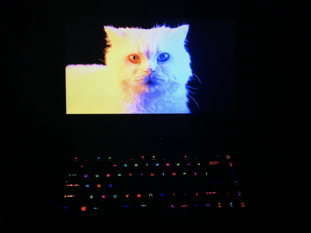 MSi GS65 Stealth 
كرت شاشة خارجي Nvidia GTX 1660ti
معالج i7 جيل تاسع H (فئة الاداء القوي)
رام 16GB 
هارد 512GB m.2 
شاشة 15.6 انش 144 هرتز sRGB 95%
كيبورد RGB مع امكانية تغيير الالوان والأنماط لكل زر بأستعمال البرنامج
اللابتوب سلم وزنه خفيف 
للبيع السعر 700 وبي مجال للطيبين
مكاني بغداد الطالبية 
***********
