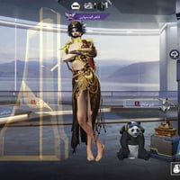 المراوس • الكترونيات