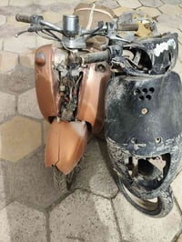 دراجتين • منغولي ومصرية • ناصريه مركز