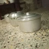 جدور كبار • ٥٠سم • نوعية ممتازة