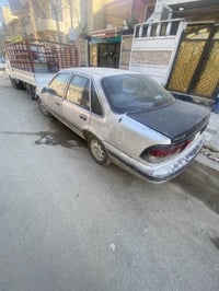 برنس • شغاله • رقم بغداد