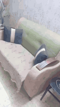 تخم قنفتين ب١٢٥ بي مجال الدوره ابودشير ***********
