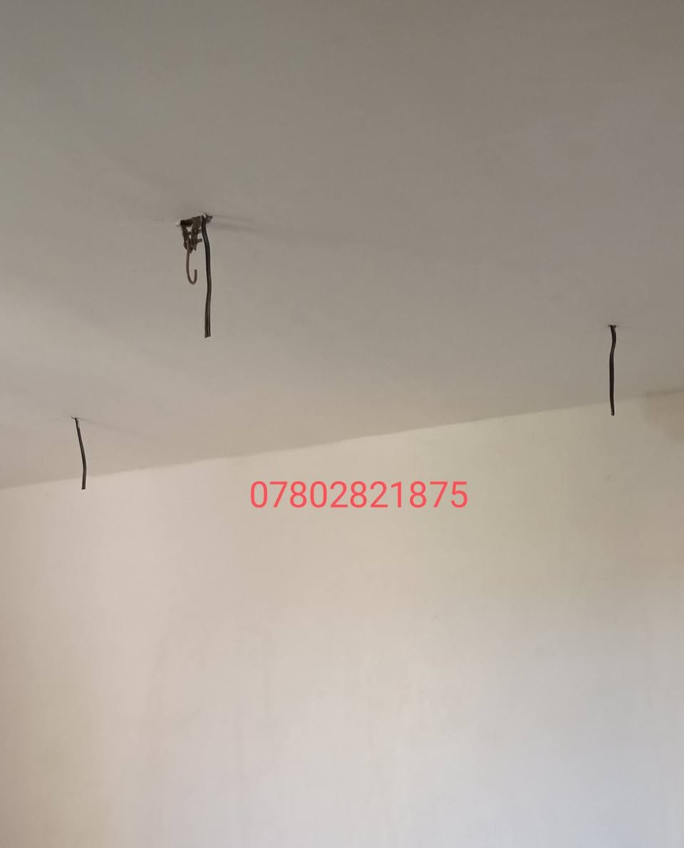 لباخ متفرغ للعمل ديوانيه المركز #اسعارمناسبه
مكطوعه وعل متر للاتصال *********** متوفر وتساب
الخاص مفتوح // شغل مرتب ونظيف
