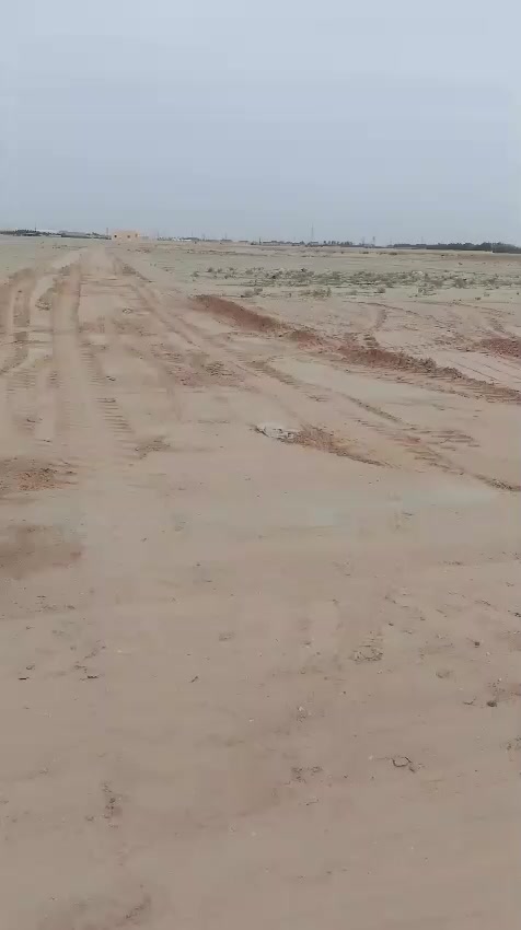 مكلف بالنشر هذا رقم راعيه ‏‪***********‬‏
مزارع 32 دونم تفاصيله بالفيديو سعرة 65 مليون
