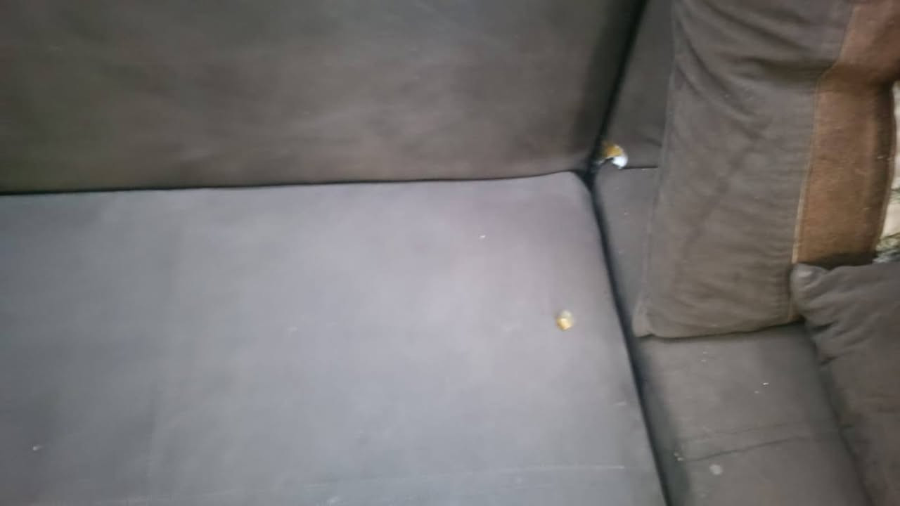 ايامكم سعيده وكل عام والجميع بألف خير تخم ديوان للبيع عشر مقاعد سرير ومخزن بيه جويتين مثل ما موضح بالصور  وياه عشر كوشات سعره ب165وقابل للتفاوض العامريه


**إذا كنت صاحب هذا الإعلان وتريد حذفه لأي سبب، رجاءا أرسل رسالة إلى الدعم الفني**