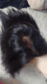 شوفي ليعجبج ودخلي خاص اخذي التفاصيل


**إذا كنت صاحب هذا الإعلان وتريد حذفه لأي سبب، رجاءا أرسل رسالة إلى الدعم الفني**