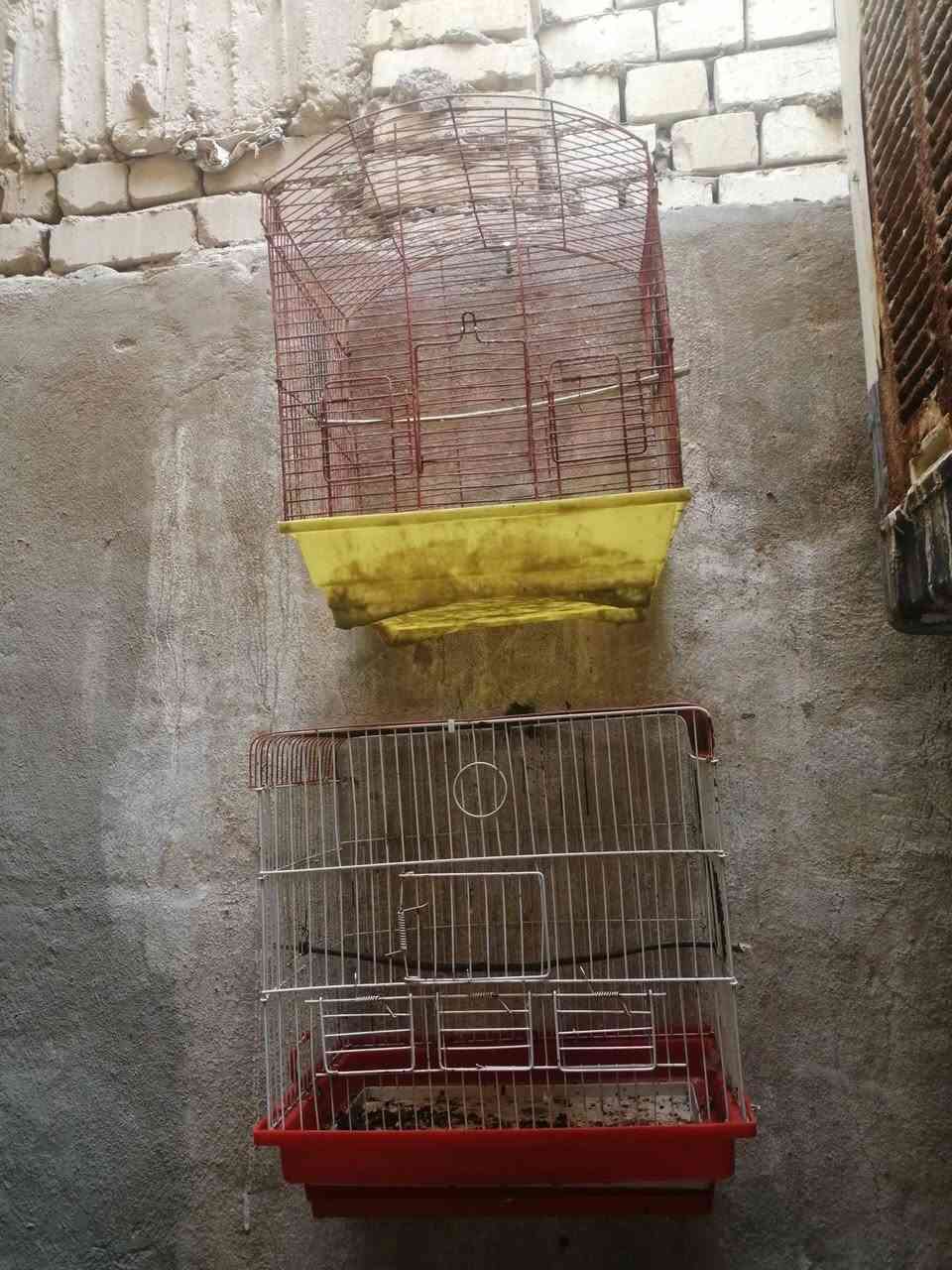 متاح قفصين ثنينهن ب٥ المكان نجف مكتب رشيد اليريده يتفضل خاص


**إذا كنت صاحب هذا الإعلان وتريد حذفه لأي سبب، رجاءا أرسل رسالة إلى الدعم الفني**