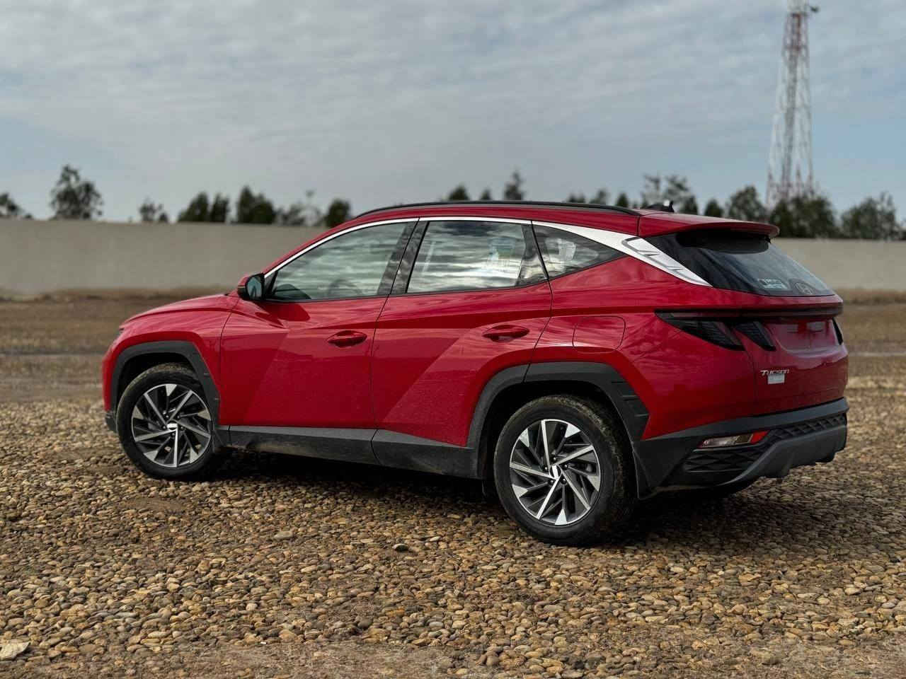 السلام علیکم
توسان 23 رقم بغداد دولي باسمي تحويل ثاني يوم
ماشيه 47 وقابل للزياده سياره فول مواصفات عدا بانوراما
سياره مكفوله عدا بارد بل قبق جنطه وموجود سوناره
السعر 210
 للاستفسار أكثر الاتصال عله الرقم ***********
