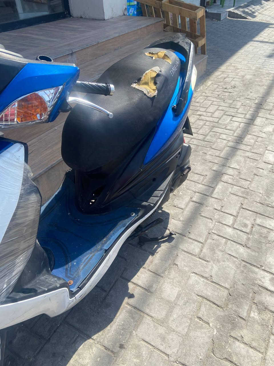 سلام عليكم
دراجه سكنس فحل للبيع السعر 1100 وبيها مجال 
البصره ابو الخصيب ***********
