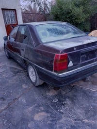 اوبل • اميكه • اوراق شغالة