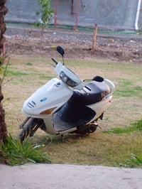 فراشه نثيه • كهربائيات وسلف • مكان حله ناحية النيل