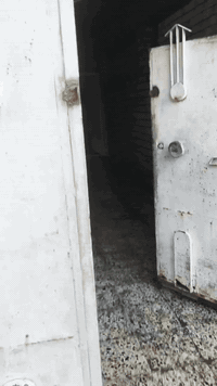 الشعب شارع عدن • غرفتين نوم • خدمات معزولة