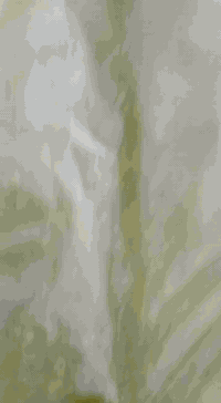 ونج بانزين لتصعيد وتنزيل جميع مواد البناء باسعار مناسبه وتطبيك السطوح فرشي + شتايكر كرسته وعمل او بس عمل حسب الاتفاق شغل درجه أولى والتزام بالموعد عملنا فقط حله كربلاء والنجف اي استفسار الاتصال على هذا الرقم او المراسله واتساب
***********
