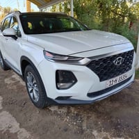 سنتافيا • ٢٠١٩ • وارد أمريكي