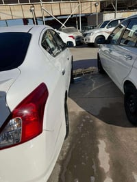 صني • ٢٠٢٠ • نجف