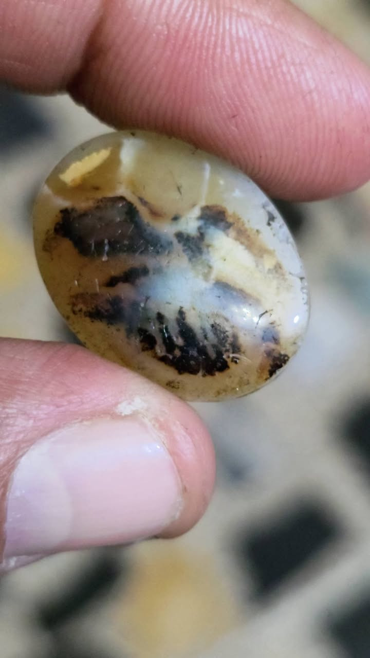 سليماني او شجري يماني او داودي ما اعرف شني من حجر بس قديم جدن ومصور او كلمت لله او مصور نساء واقفات للبيع الحجر مكاني بغداد توصيل لا يوجد سعر خاص خاص خاص خاص خاص خاص


**إذا كنت صاحب هذا الإعلان وتريد حذفه لأي سبب، رجاءا أرسل رسالة إلى الدعم الفني**