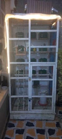 قفص طيور حب مرتب ومصبوغ عيني القفص بدون قاصات وبدون كناري فقط قفص  الا...