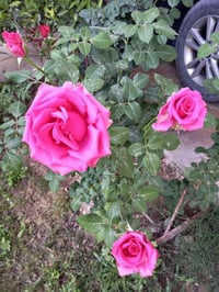 دروس تقوية • متوسط ١-٣ • رياضيات كيمياء فيزياء