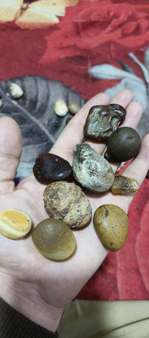 أحجار سلطاني خام و سليماني خام مصور كله تحف نوادر انتيكة بسعر البلاش قطعة 5 آلاف عرض خاص فترة محدودة أقل طلب 4 قطع توصيل موجود لكل العراق وبلخدمة والي يريد شلع يدلل للطلب خاص


**إذا كنت صاحب هذا الإعلان وتريد حذفه لأي سبب، رجاءا أرسل رسالة إلى الدعم الفني**