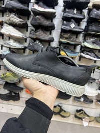 إيكو • أصلي • مقاس 43