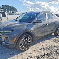 سانتا كروز • ٢٠٢٥ • مزاد أمريكي